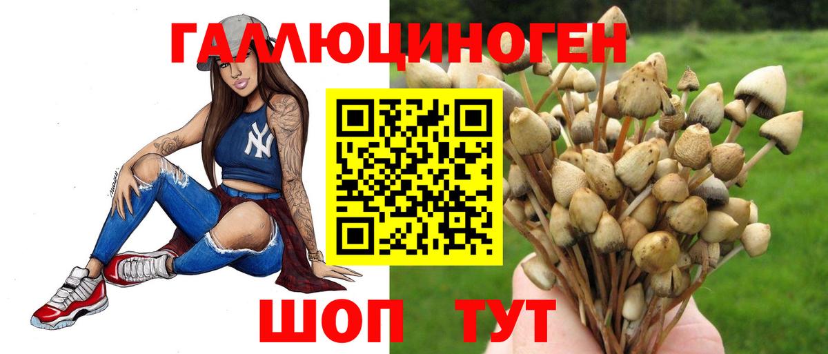 Галлюциногенные грибы ЛСД Сегежа