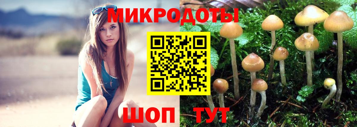 Псилоцибиновые грибы ЛСД  Псилоцибиновые грибы ЛСД  Сегежа  Вход с VPN 
